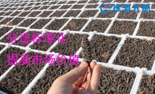 大家都用重量分揀機(jī)分選海參了！您還在用人工分選嗎？