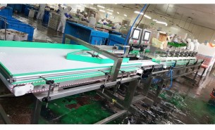 魚稱重分揀機(jī)_冷凍魚重量分選機(jī)_活魚自動分級設(shè)備