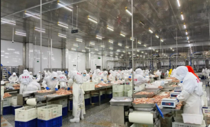 ji-tui-zhong-liang-fen-xuan-ji-xiao-zhong-liang-shi-pin-nong-chan-pin-jing-zhun-fen-xuan-xin-fang-an