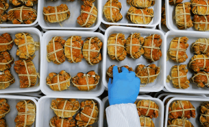 探索青蟹重量分選機如何實現(xiàn)青蟹精準(zhǔn)重量分選及產(chǎn)業(yè)價值