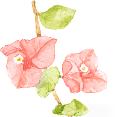 圖片關鍵詞 圖片