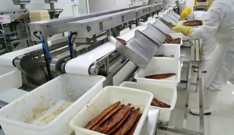 1666852301974411.jpg fillet sorting.jpg