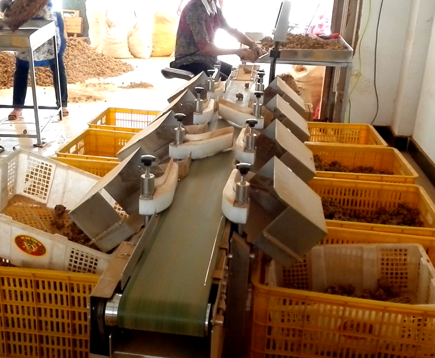 1666852429108577.jpg 1666852429108577.jpg