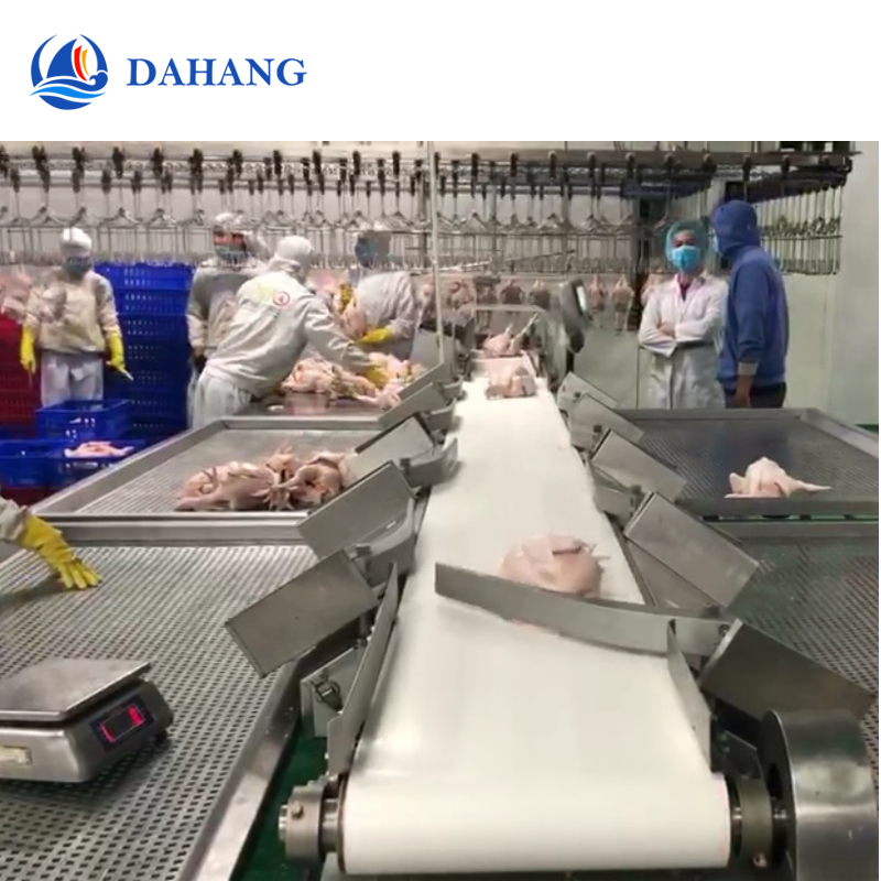 1709190777127055.jpg chicken grading equipment 3.jpg