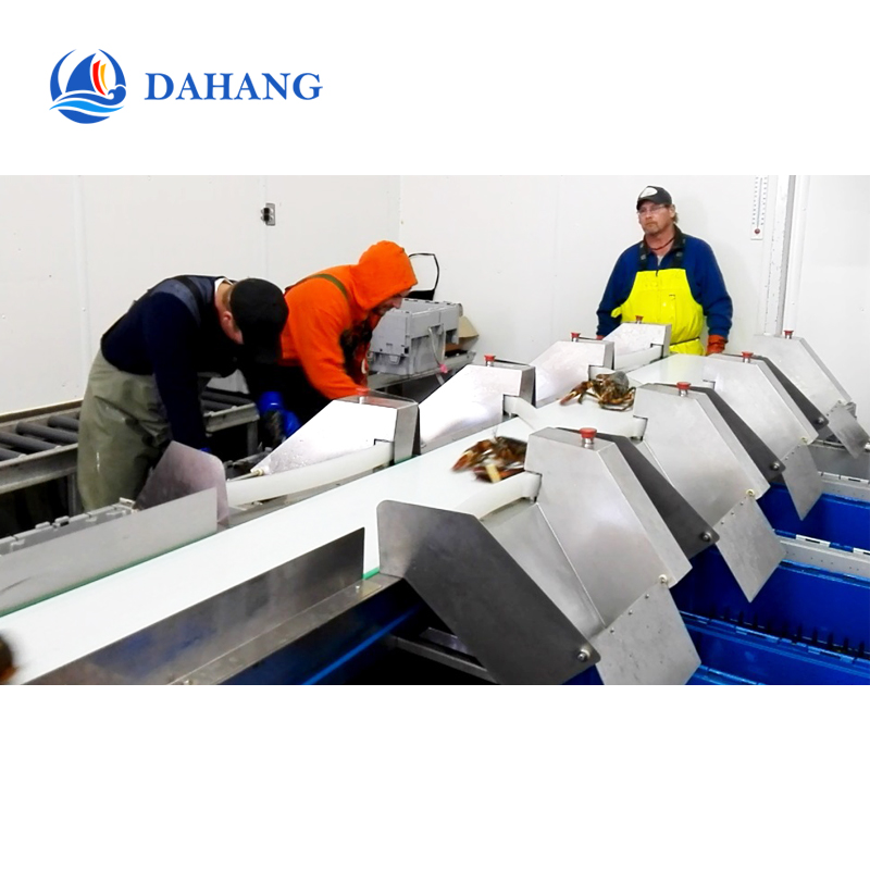 1709190798360950.jpg weight sorting machine 6.jpg