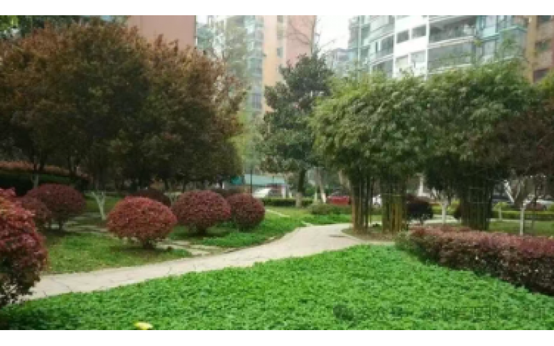 你交的物業(yè)費(fèi)包含哪些服務(wù)？