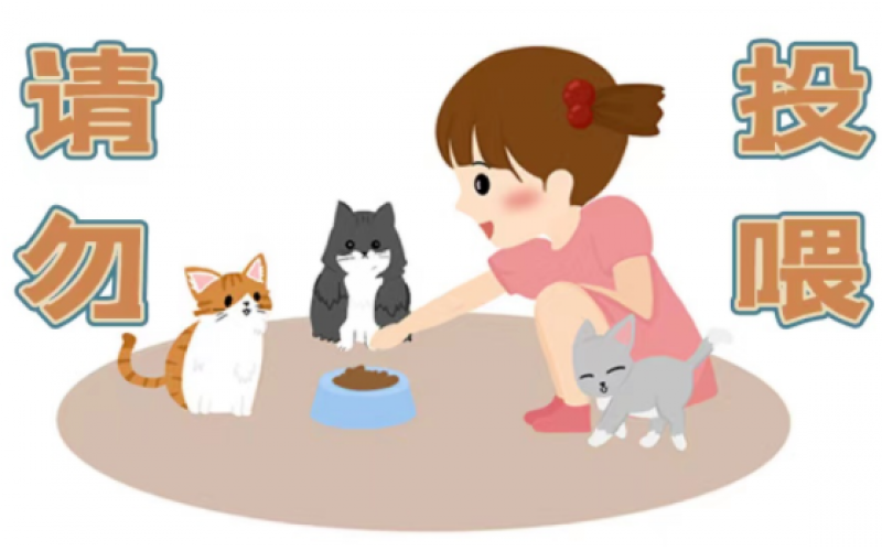 物業催費后業主無反應，物業該怎么辦？