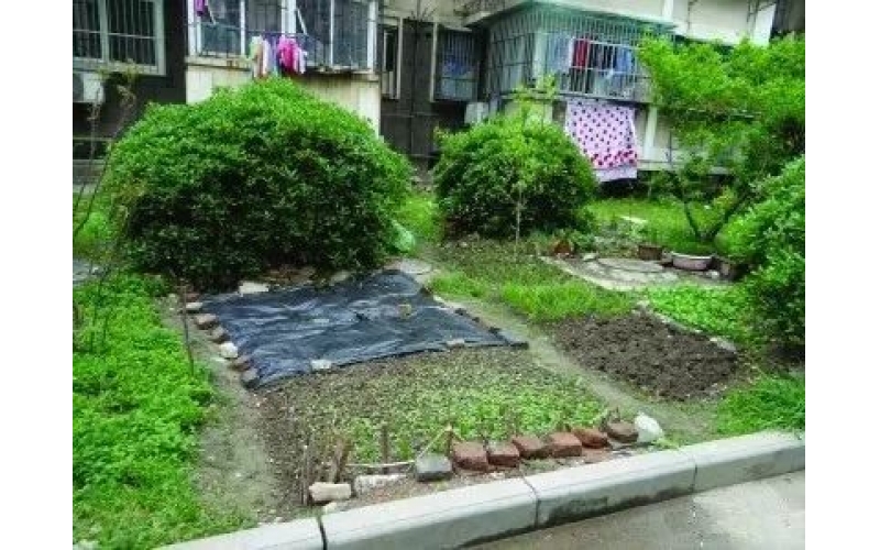 長期拖欠物業費業主的訴求，物業該不該回應？如何回應？